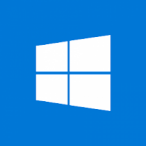 Windows 11 Pro N NonProfit Perpetual